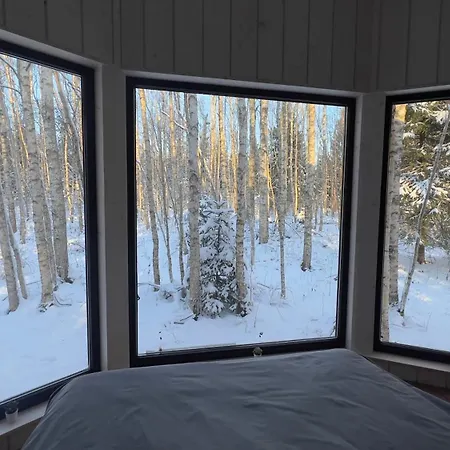 Paunkuela Nature Holiday home Silmsi